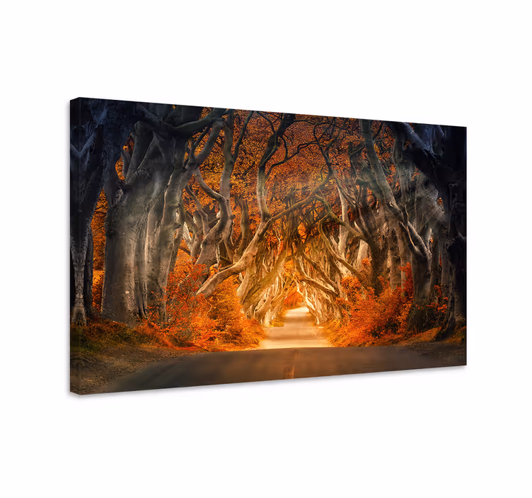 Quadro de paisagem caminho misterioso de outono - TenStickers