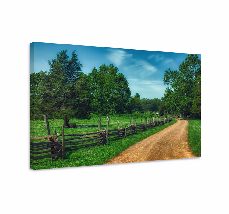 Quadro de paisage caminho sereno no campo - TenStickers