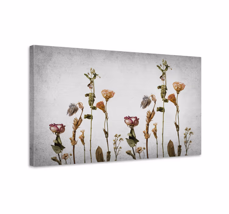 Quadro de flores composição de flores secas - TenStickers