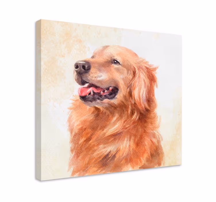 Quadro de cães ilustração de golden retriever - TenStickers