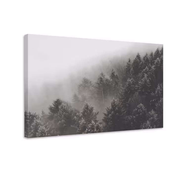 Quadro 3D Floresta com pinheiros brancos - TenStickers
