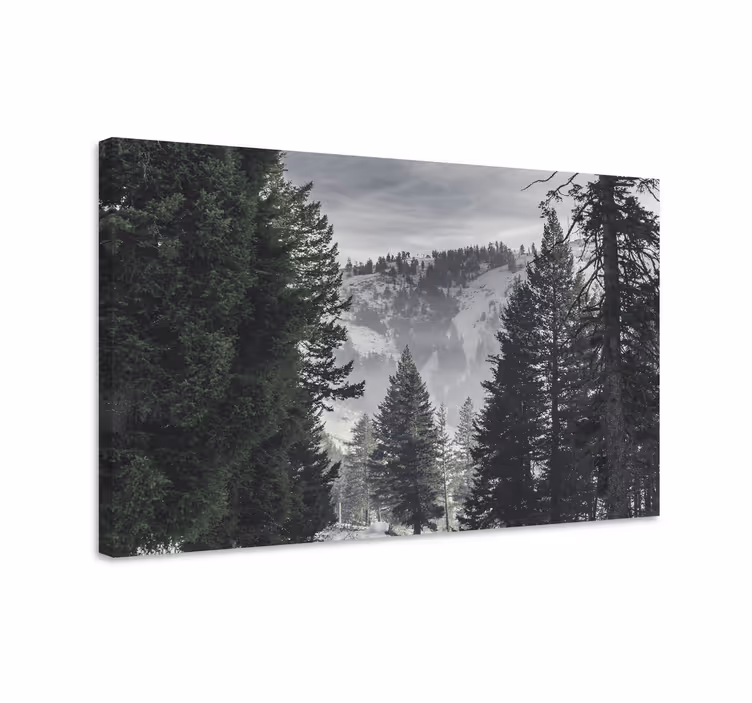 Quadro de paisagem cena de montanha majestosa - TenStickers