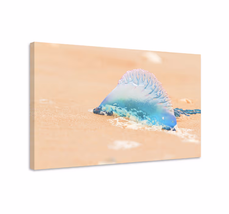 Quadro animais "caravela" portuguesa realista - TenStickers