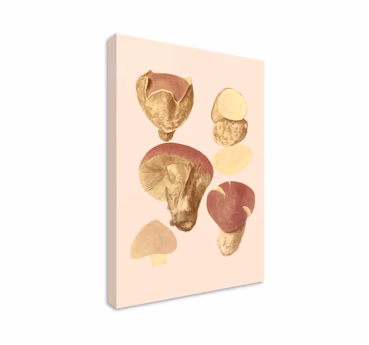 Quadro de flores coleção de cogumelos - TenStickers