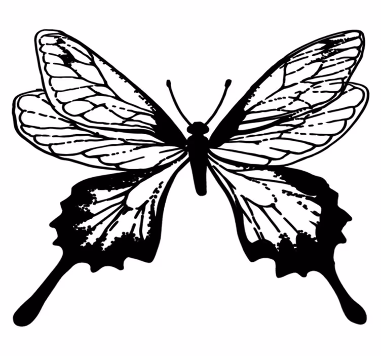 Tapete vinílico de animais contorno de borboleta elegante - TenStickers
