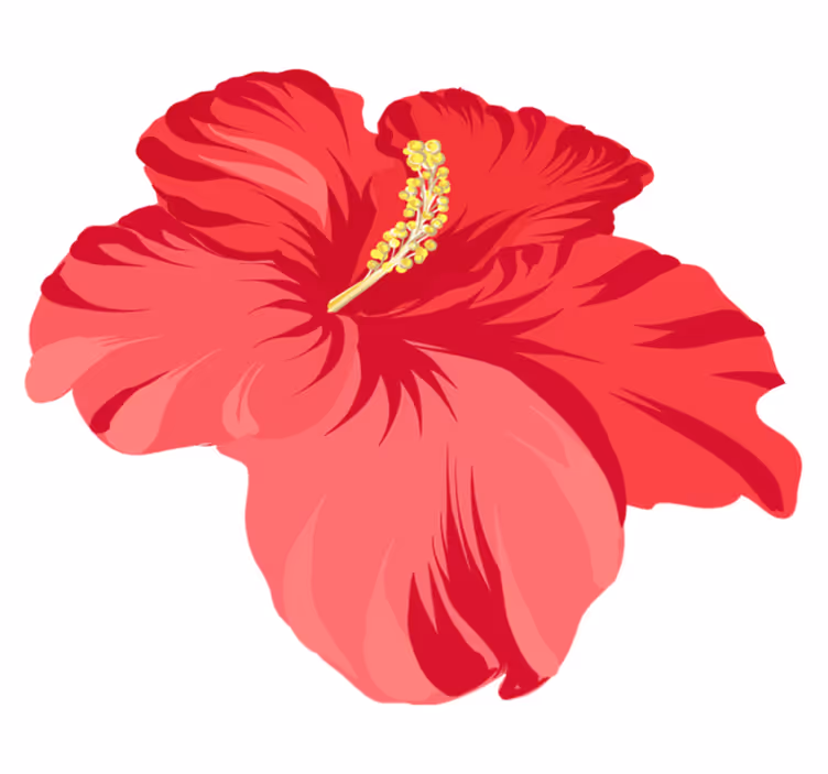 Tapete vinílico flores e plantas kit flor hibisco vermelho - TenStickers