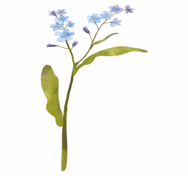 Tapete vinílico flores e plantas planta azul graciosa - TenStickers