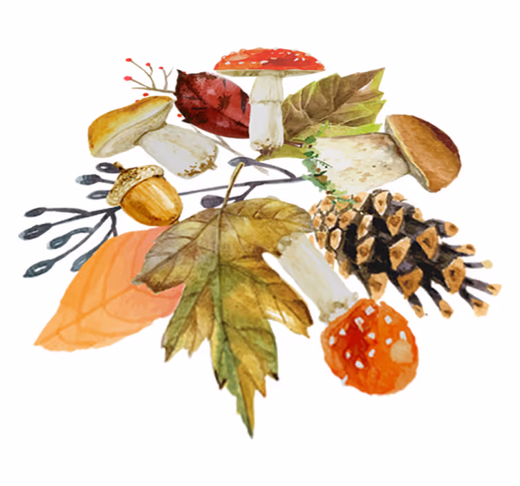 Tapete vinílico natureza folhas e frutos florestais - TenStickers