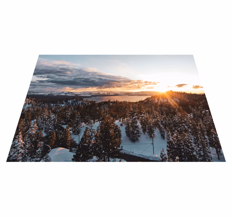 Tapete vinílico natureza paisagem de floresta luxuriante - TenStickers