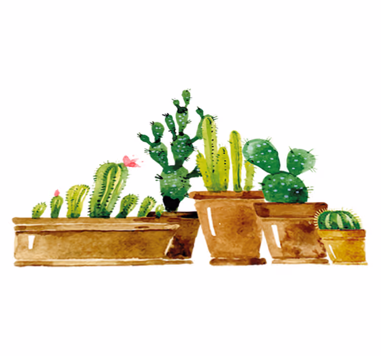 Tapete vinílico flores e plantas jardim de cactos caseiro - TenStickers