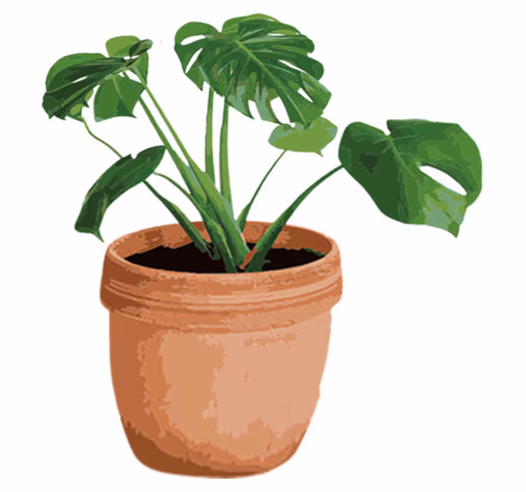 Tapete vinílico flores e plantas vaso de monstera simples - TenStickers
