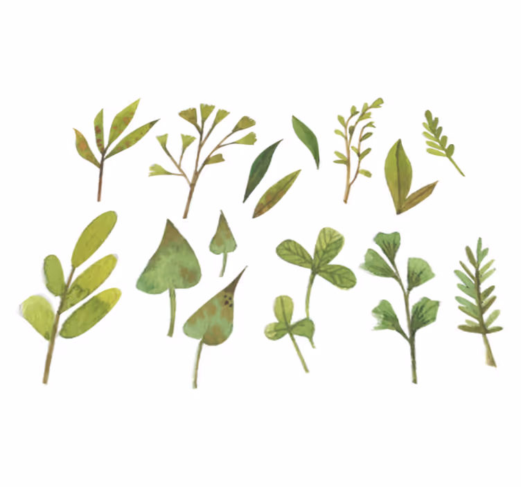Tapete vinílico flores e plantas folhas pequenas aquarella - TenStickers