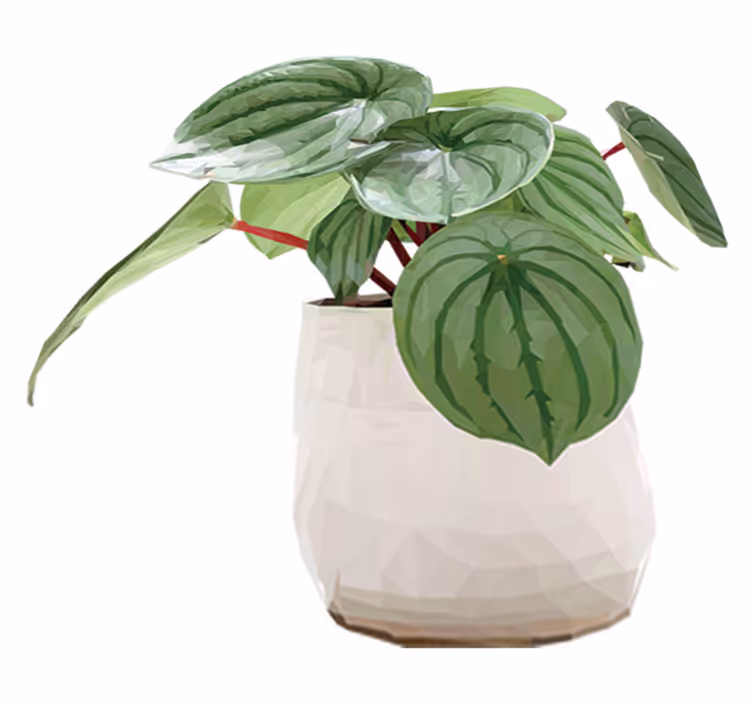 Tapete vinílico flores e plantas simples para casa - TenStickers