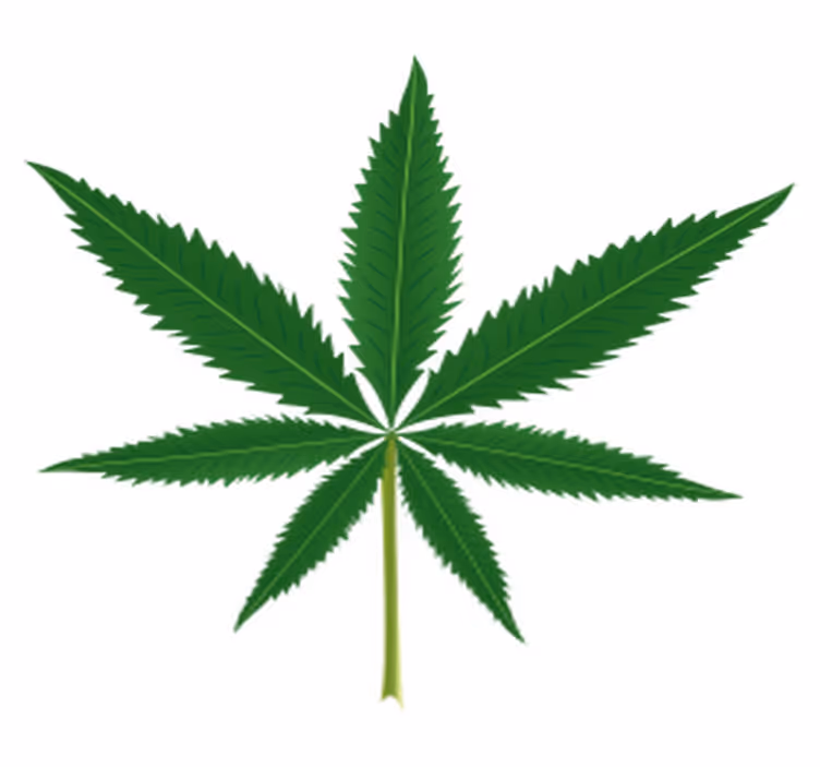 Tapete vinílico flores e plantas folha de maconha - TenStickers