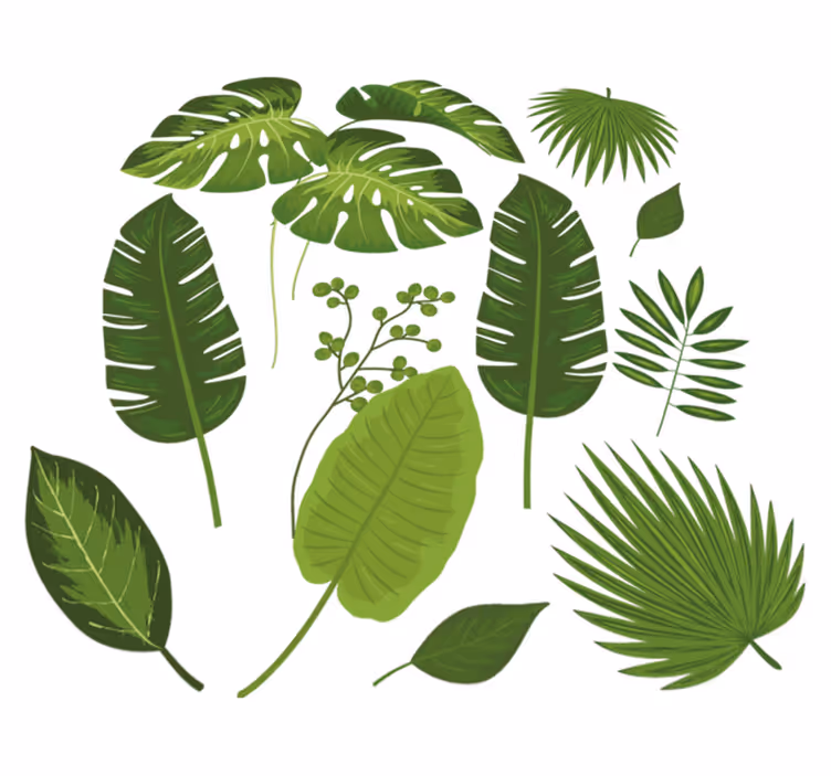Tapete vinílico flores e plantas diversidade de folhas - TenStickers