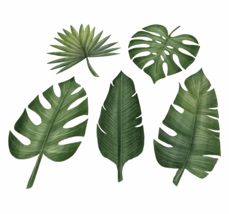 Tapete vinílico flores e plantas folhas verdes grandes - TenStickers