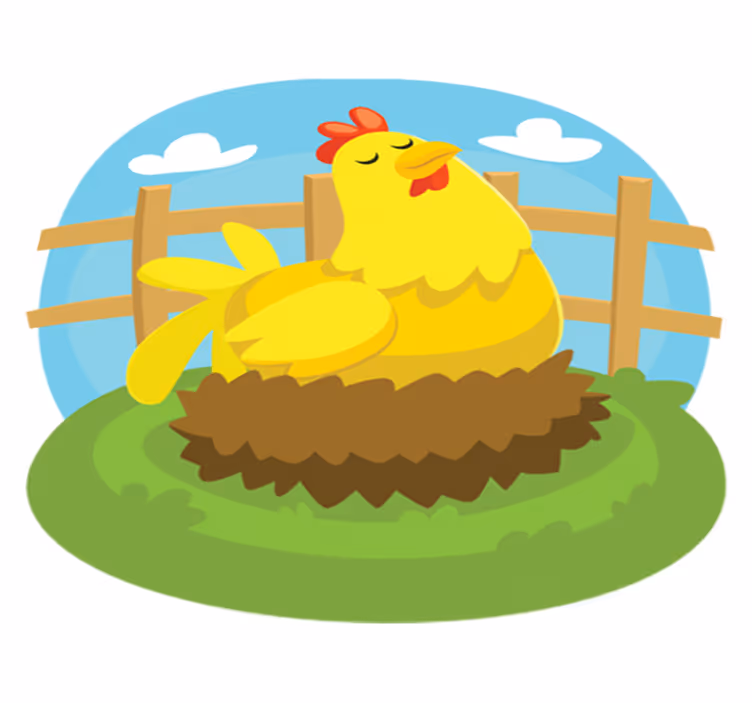 Tapete vinílico infantis galinha poedeira - TenStickers
