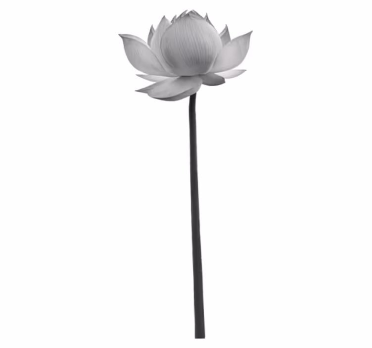 Tapete vinílico quarto flor de lótus solitária - TenStickers