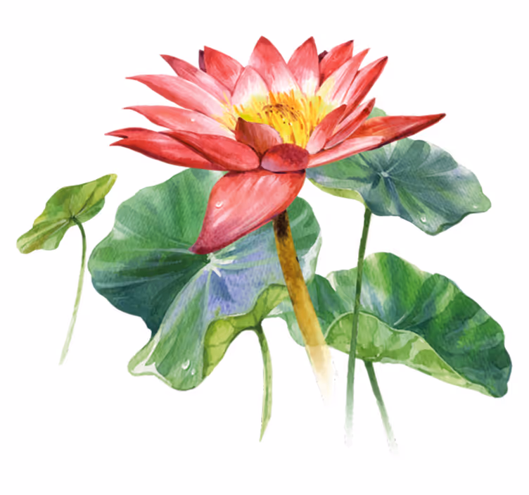 Tapete vinílico quarto ilusão aquarela de lótus - TenStickers