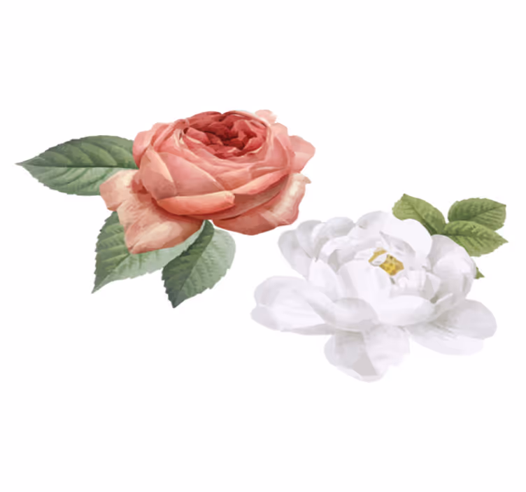 Tapete vinílico quarto rosas brancas e pink - TenStickers