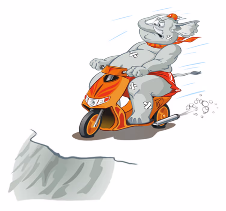 Tapete vinílico infantis elefante de moto - TenStickers
