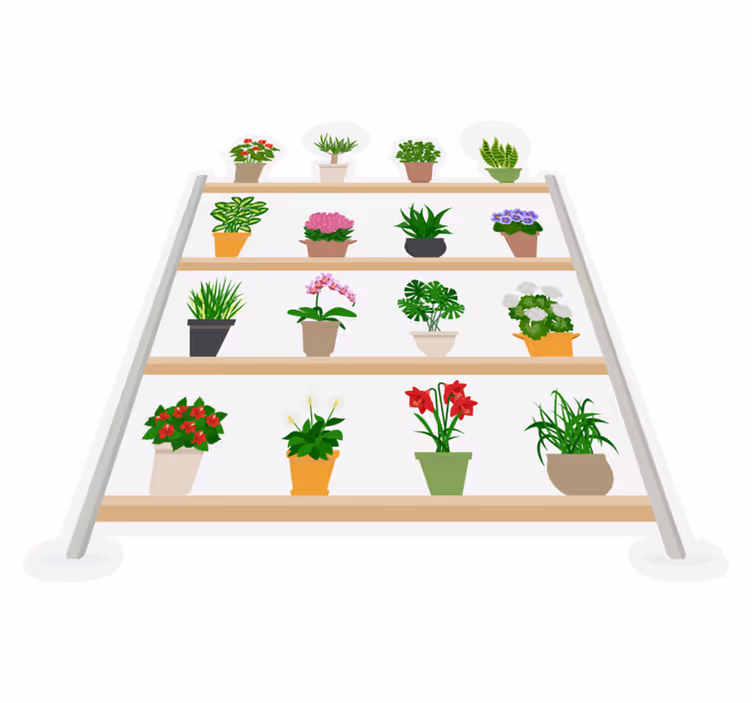Tapete vinílico cozinha plantas em prateleiras - TenStickers