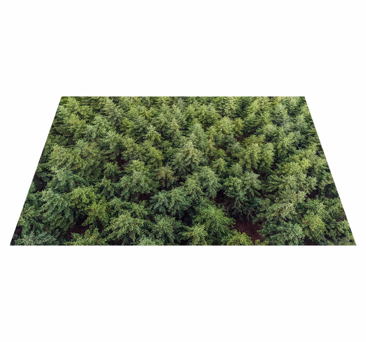 Tapete de vinil para sala paisagem floresta - TenStickers