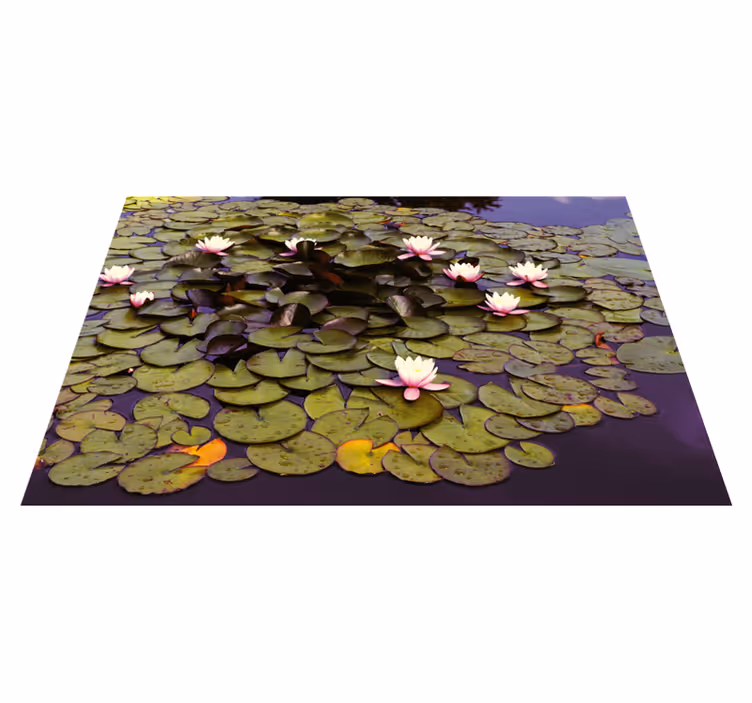 Lótus no tapete de vinil floral de lagoa - TenStickers