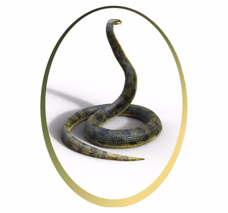 Tapete vinílico de animais inspiração para estampa de cobra - TenStickers