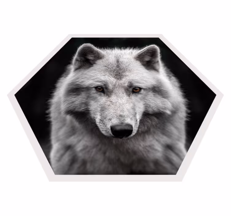 Tapete vinílico de animais retrato de lobo - TenStickers