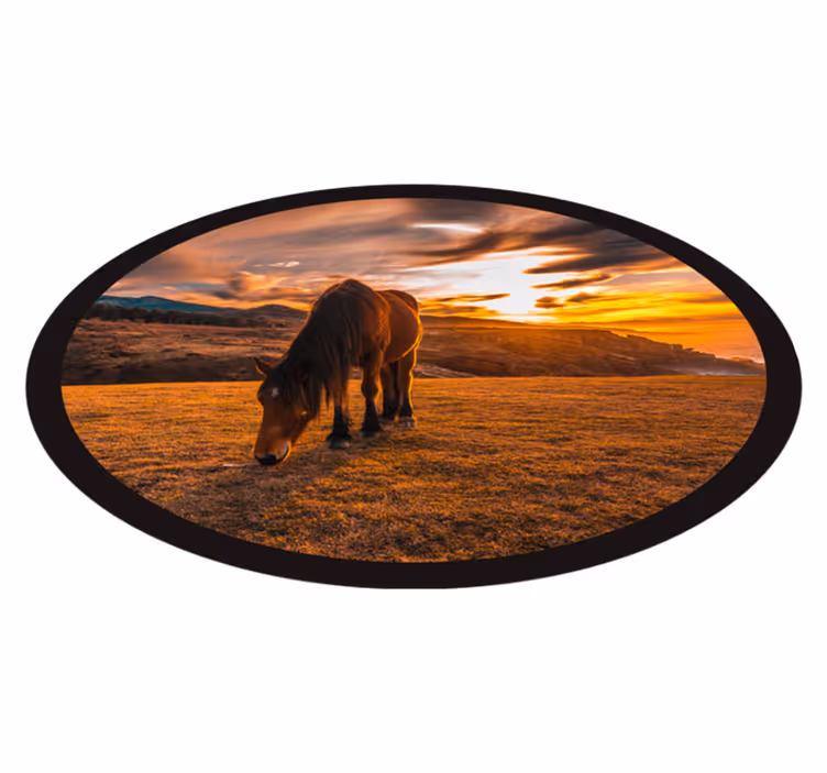 Tapete vinílico de animais cavalo majestoso comendo - TenStickers