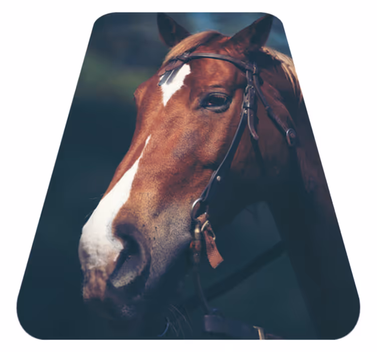 Cabeça de cavalo lindo tapete animal - TenStickers