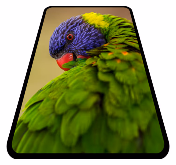 Tapete vinílico de animais retrato colorido de papagaio - TenStickers