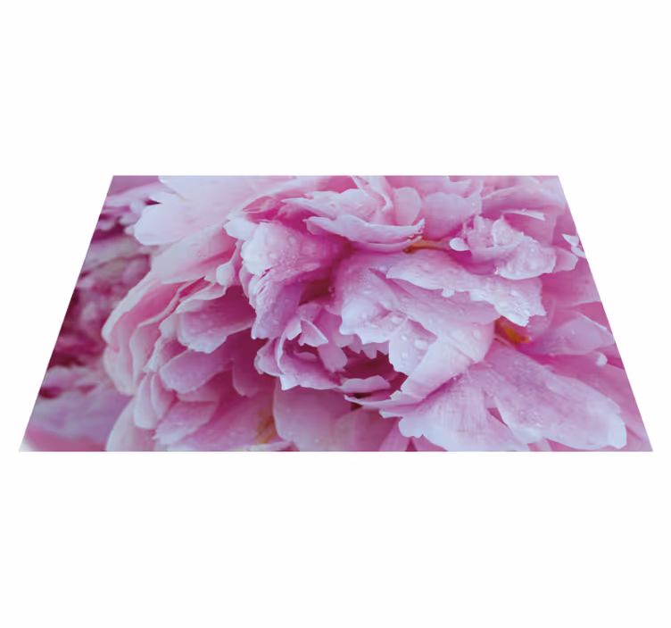 Tapete vinílico flores e plantas flor de peônia rosada - TenStickers