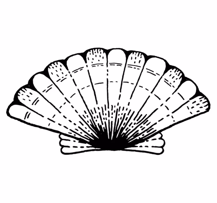 Tapete vinílico natureza sotaque com padrão de concha - TenStickers