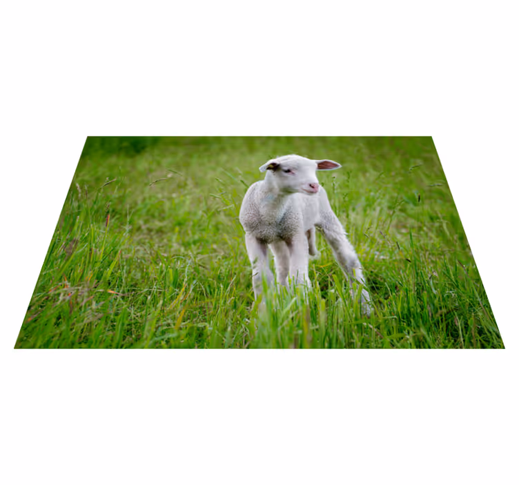 Tapete vinílico para gabinete Animal fofo cordeiro - TenStickers