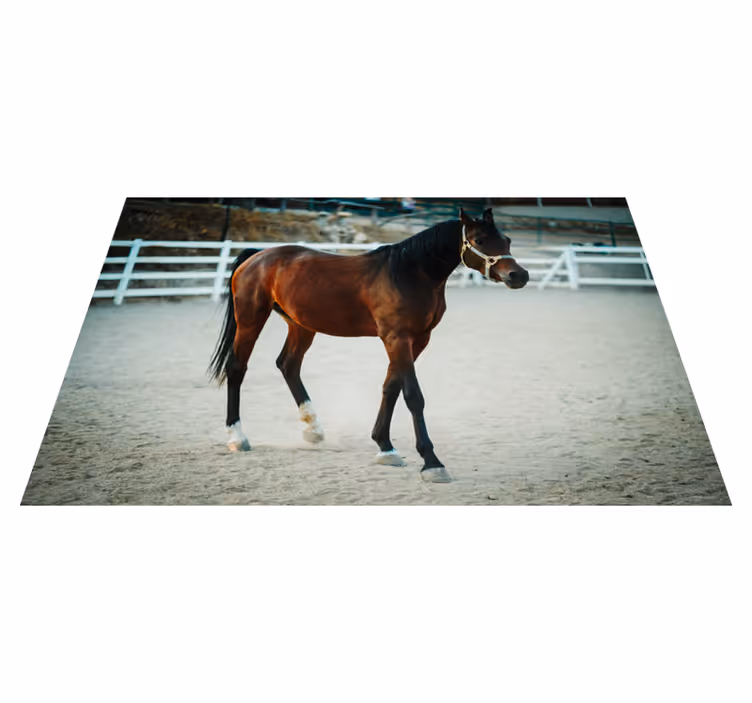 Tapete vinílico de animais retrato majestoso de cavalo - TenStickers