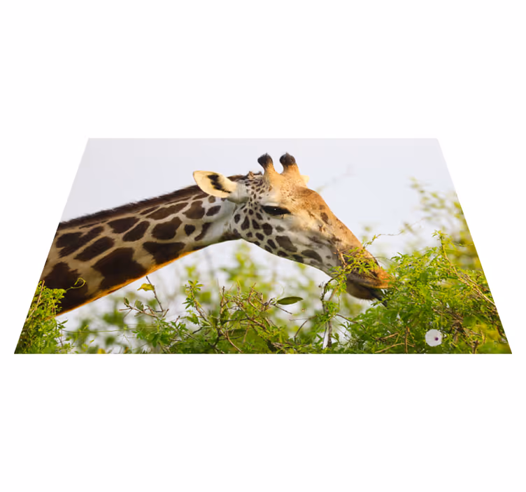 Tapete vinílico de animais girafa comendo verduras - TenStickers