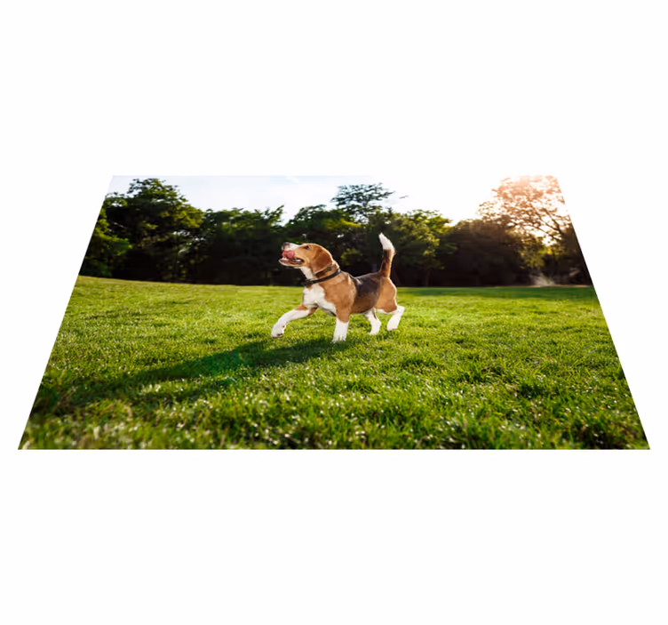 Tapete vinílico de animais beagle feliz correndo - TenStickers