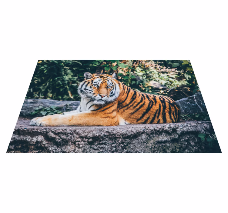 Tapete vinílico de animais tigre majestoso deitado - TenStickers