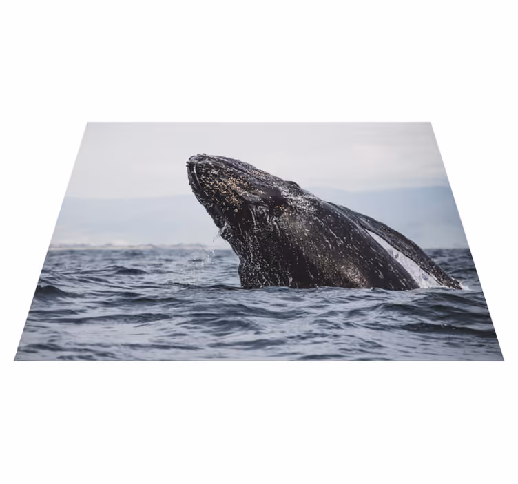 Tapete vinílico natureza salto majestoso da baleia - TenStickers