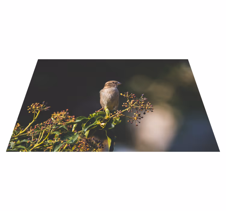 Tapete vinílico natureza pássaro encantador empoleirado - TenStickers