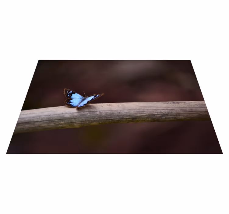 Tapete vinílico natureza borboleta no galho - TenStickers