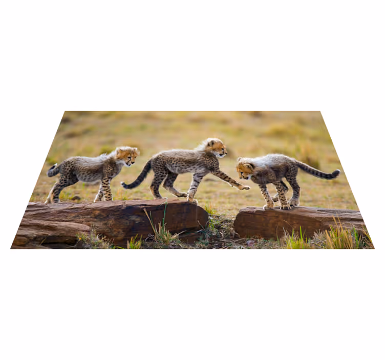 Tapete vinílico para gabinete Animais fofos filhotes de chita - TenStickers