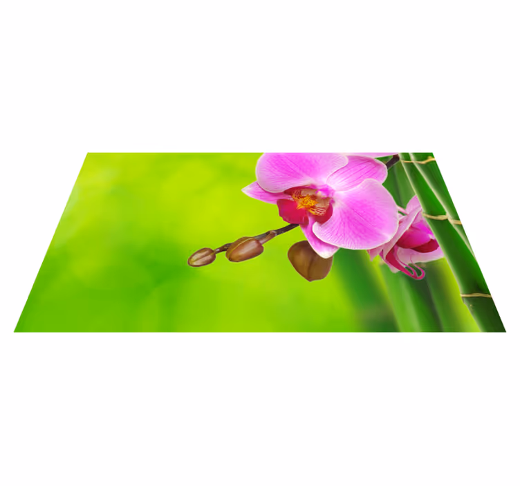 Tapete vinílico flores e plantas delícia da flor da orquídea - TenStickers