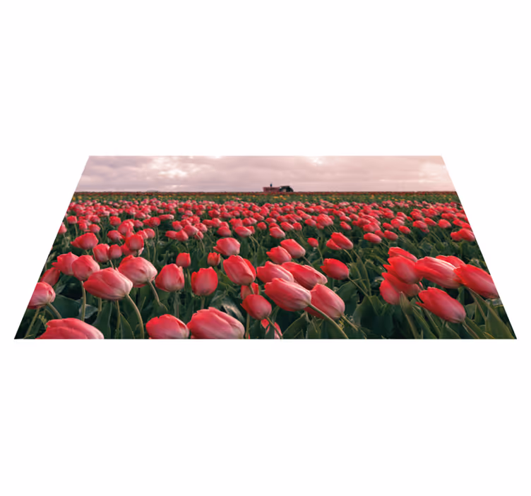 Tapete vinílico natureza campo de tulipas vibrante - TenStickers
