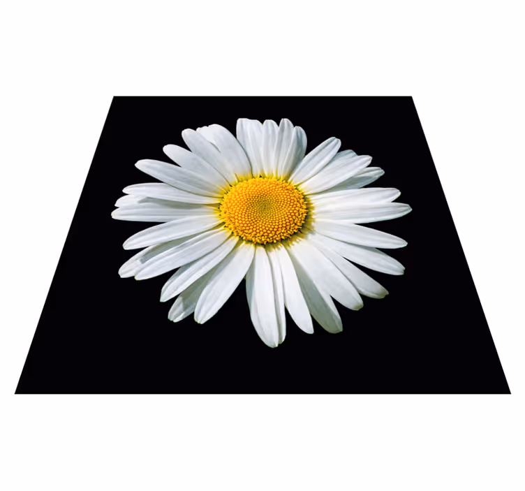Tapete vinílico flores e plantas flor de margarida - TenStickers