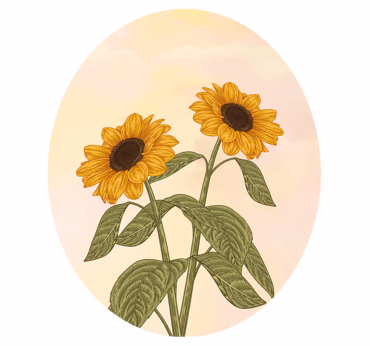 Tapete vinílico flores e plantas abraço de girassol - TenStickers