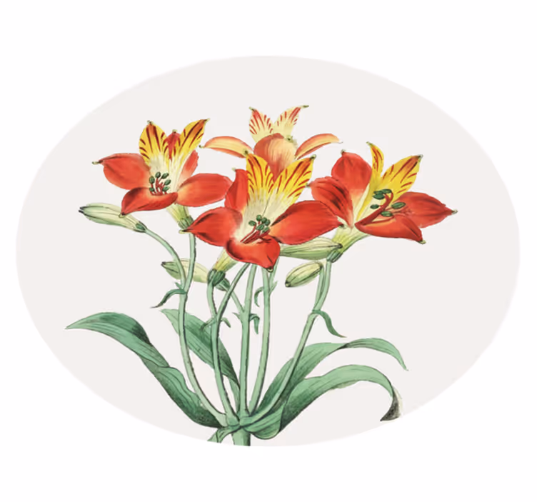 Tapete vinílico flores e plantas flores vermelhas vivas - TenStickers