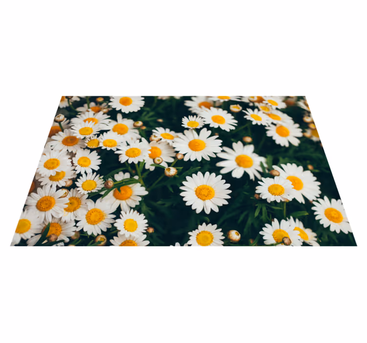 Tapete vinílico flores e plantas estampa floral margarida - TenStickers